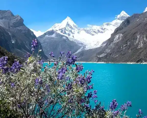 Full Day Tour Laguna Paron | Best Price | Peru Bucket List | Backpacking Peru
