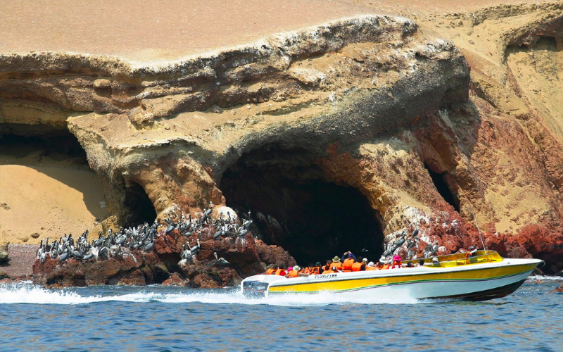 Ballestas Island Boat Tour in Paracas | Day Trips from Lima | Peru Bucket List
